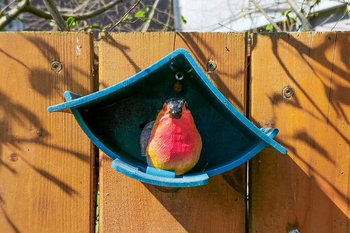 Foto 8 van Sporenring 176