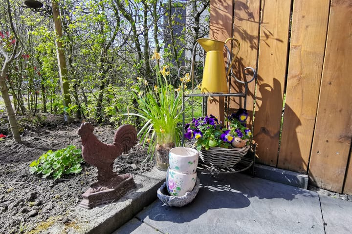 Foto 9 van Sporenring 176