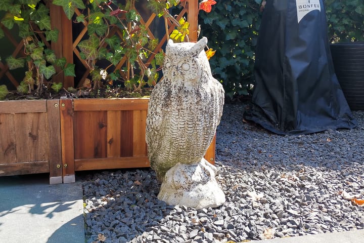 Foto 11 van Sporenring 176