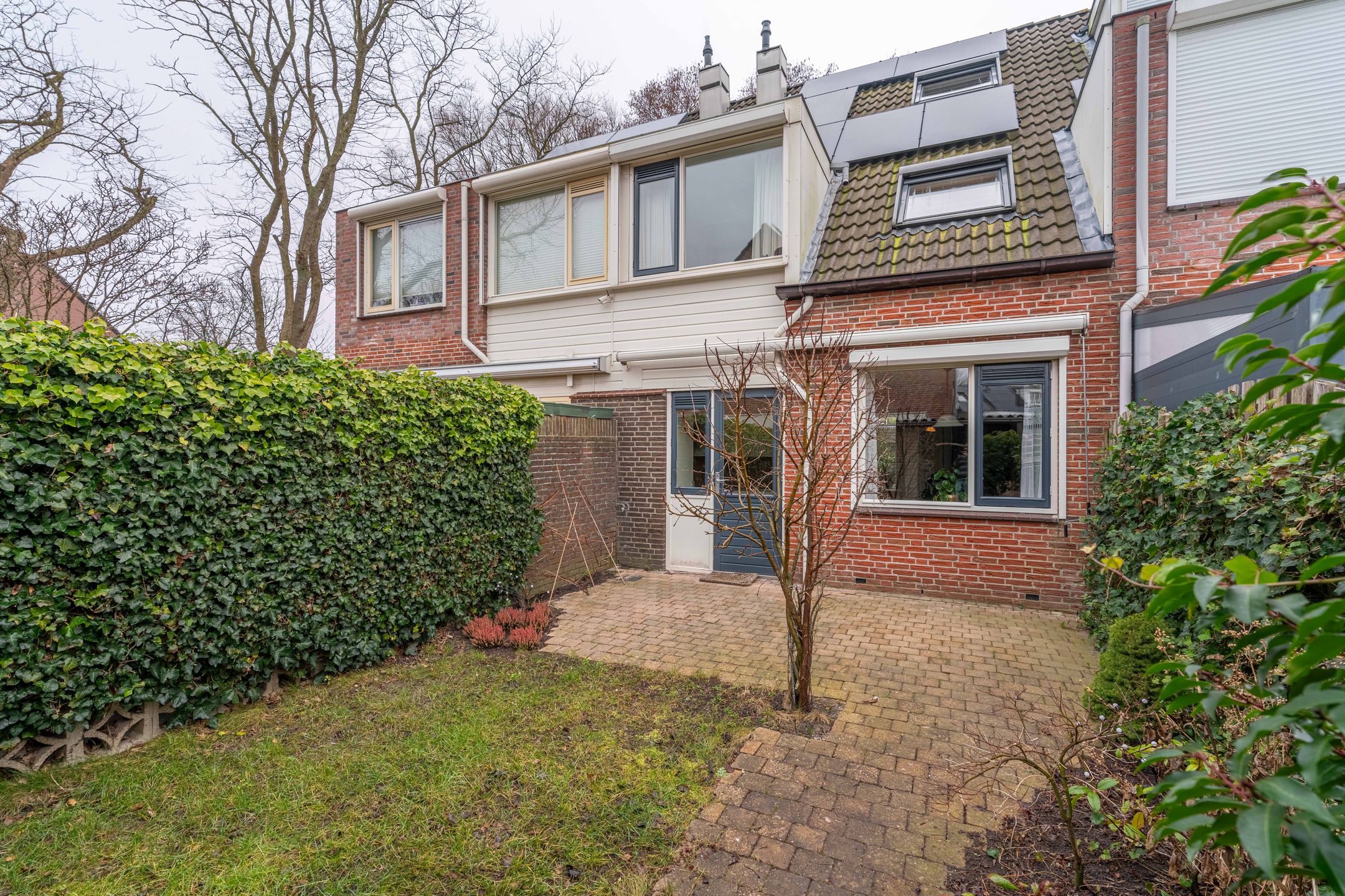 Photo 24 of Kamille 16