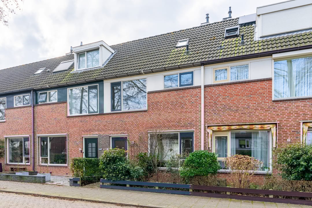 Photo 26 of Kamille 16