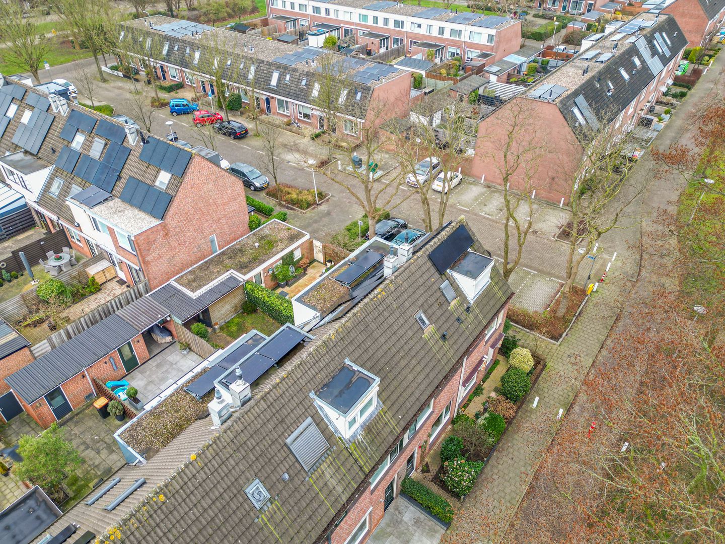 Photo 29 of Kamille 16