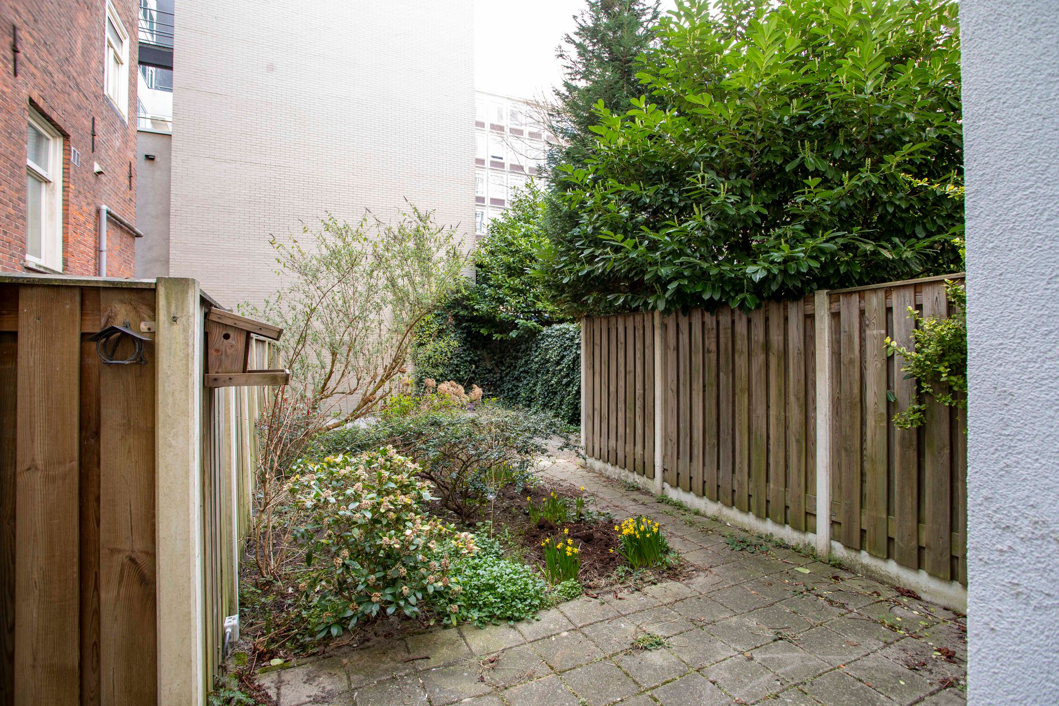 Foto 6 van Manegestraat 36