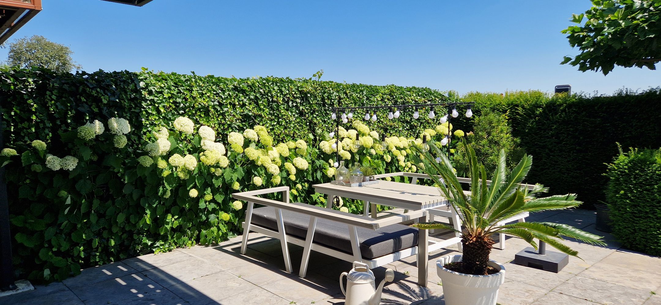 Photo 39 of de Omloop 6