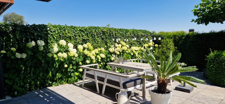 Foto 39 van de Omloop 6