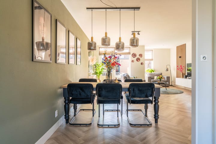 Photo 9 of Anthonie van Dyckstraat 1