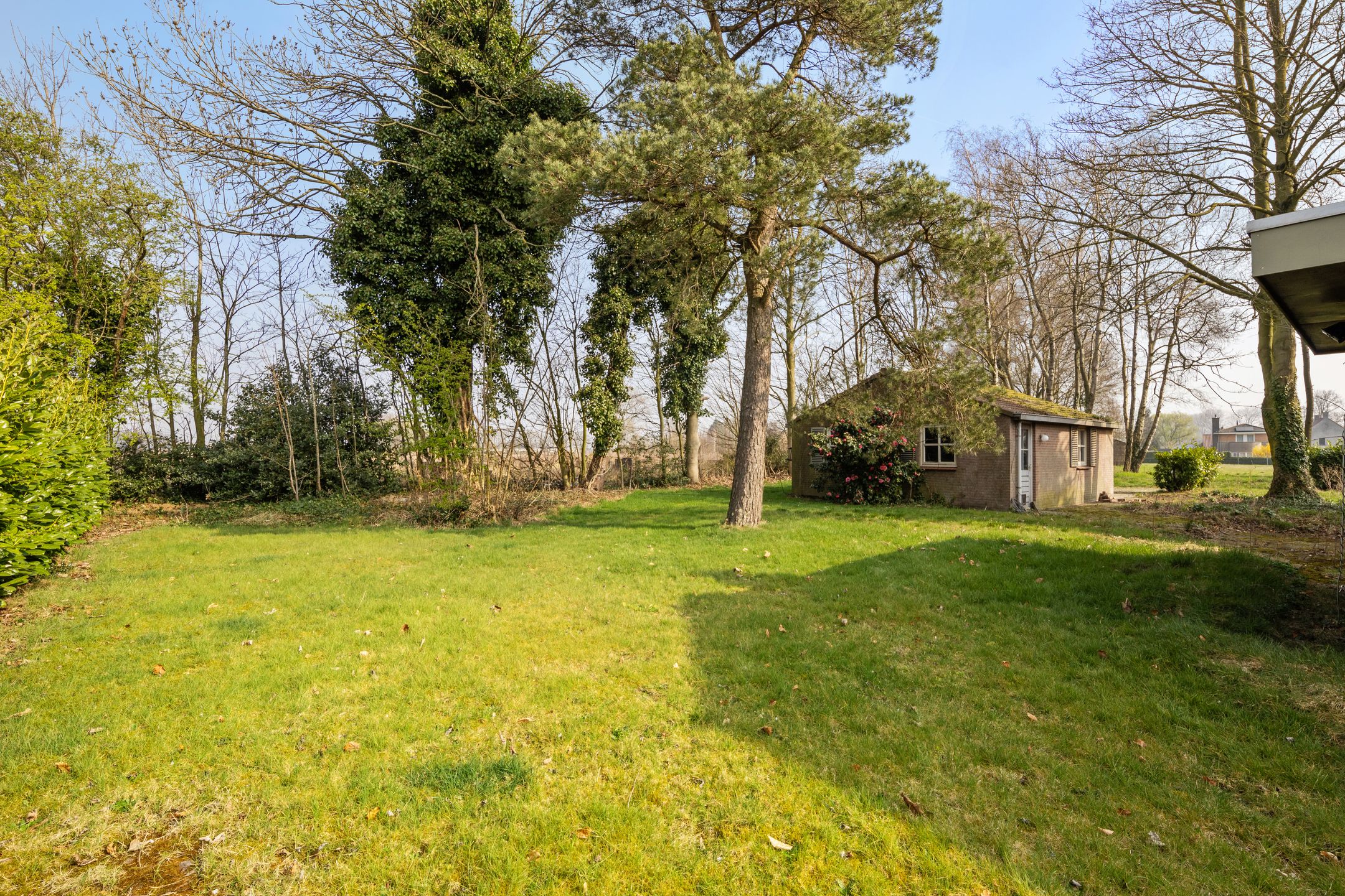 Foto 33 van Grensstraat 12