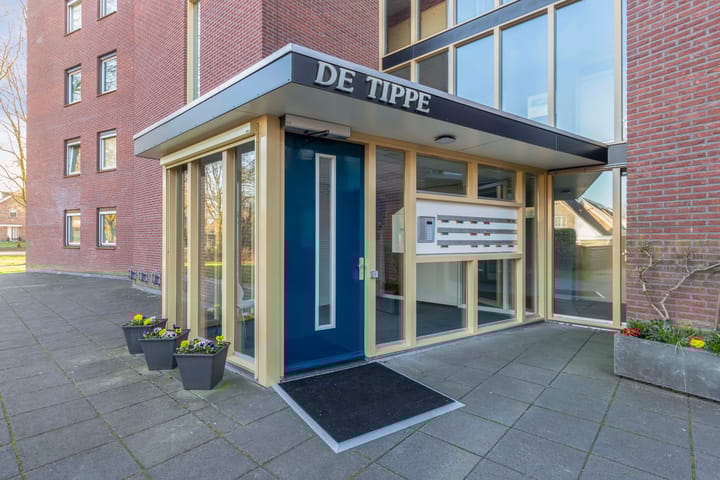 Photo 4 of De Tippe 205