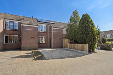 Moerasbos thumbnail
