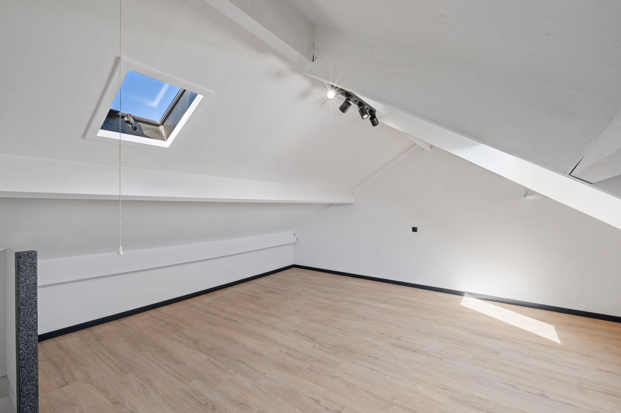 Foto 33 van Moerasbos 8