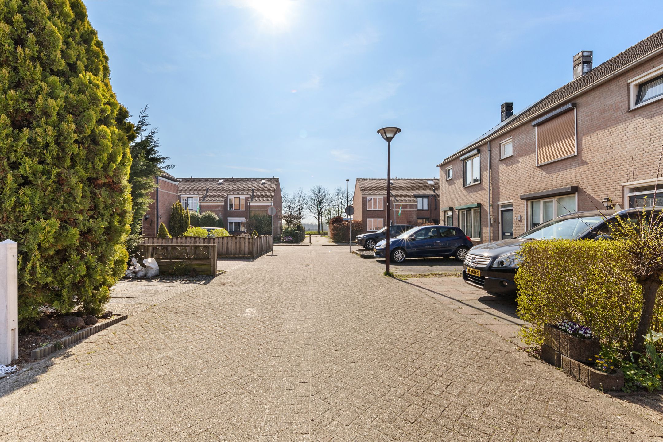 Foto 45 van Moerasbos 8