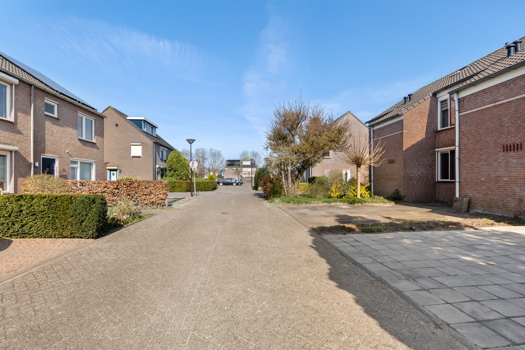 Foto 46 van Moerasbos 8