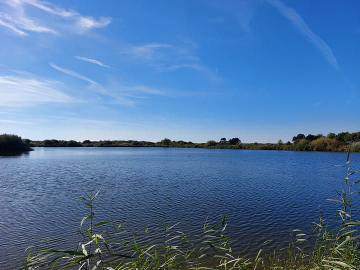 Foto 57 van Orberlaan 7