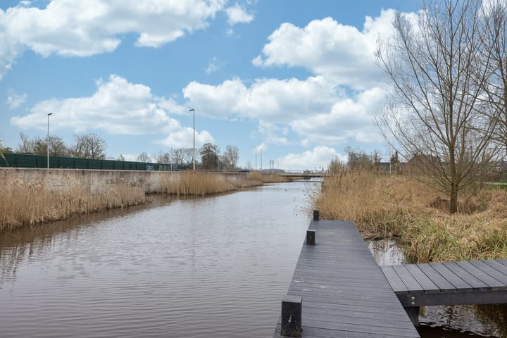 Foto 37 van Raaigras 273