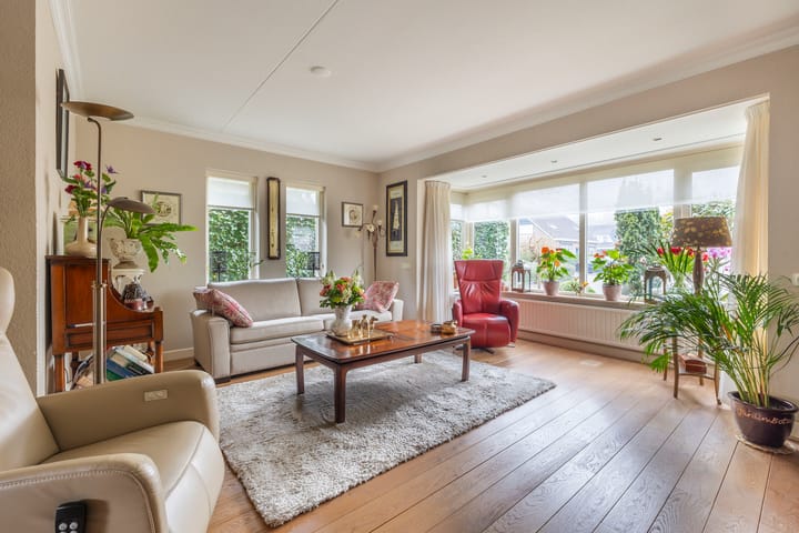 Foto 2 van Narcissenpad 52