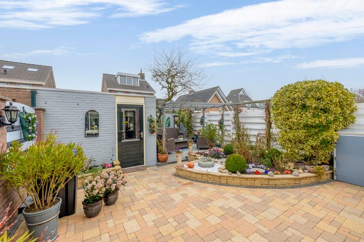 Foto 3 van Narcissenpad 52