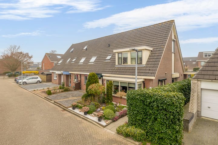 Foto 4 van Narcissenpad 52