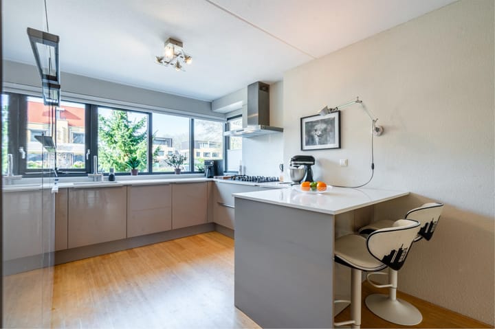 Foto 3 van Zilvermeeuwlaan 12