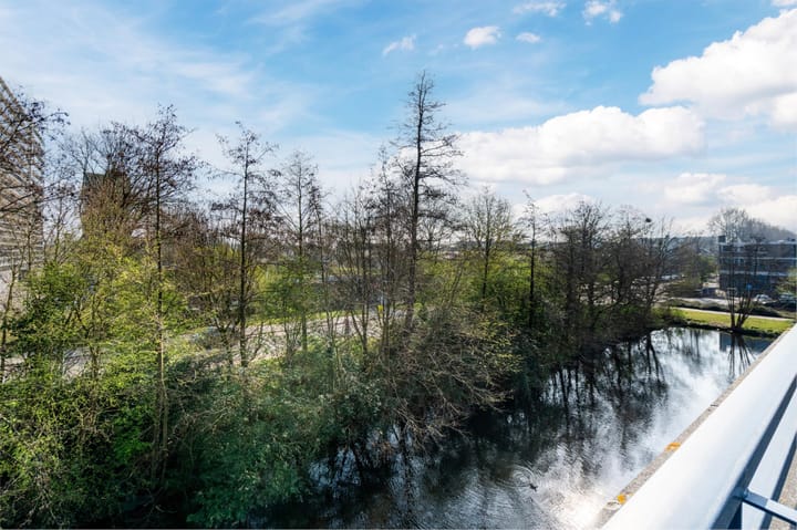 Foto 57 van Zilvermeeuwlaan 12