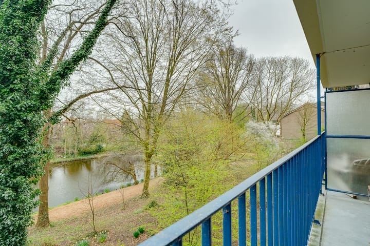 Foto 12 van Aert van Neslaan 242