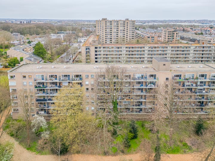 Foto 31 van Aert van Neslaan 242