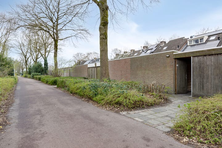 Foto 41 van het Veld 21