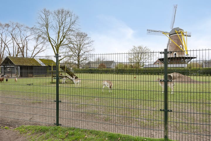 Foto 45 van het Veld 21