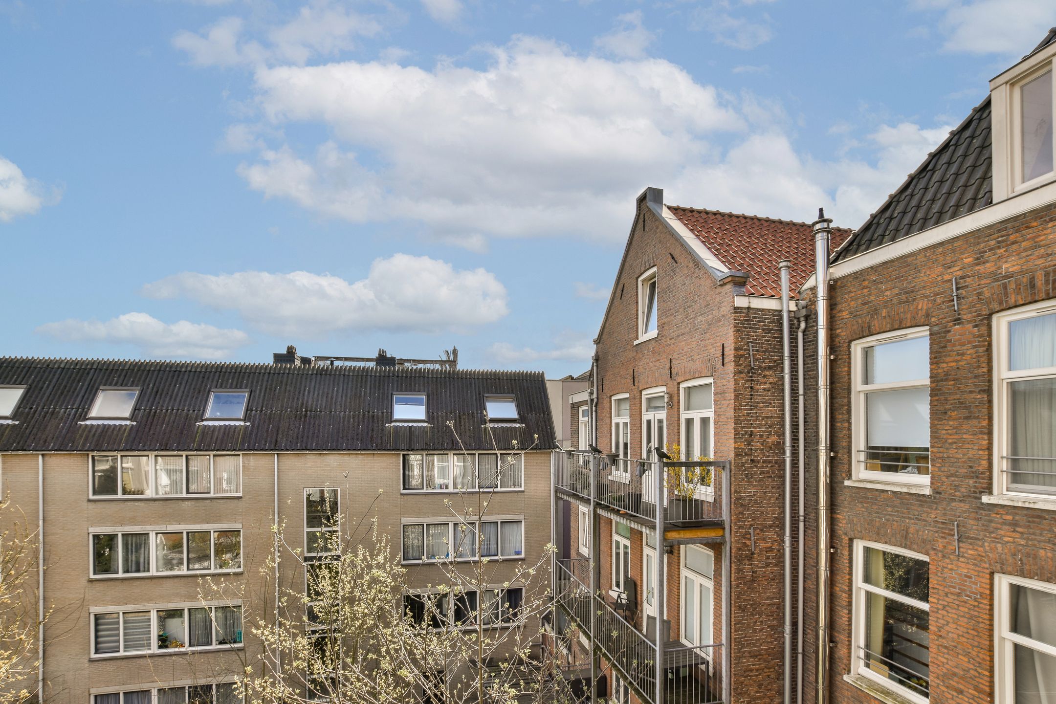 Foto 12 van Mauritskade 111-3