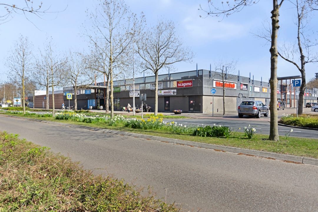 Foto 37 van Richard Holstraat 14