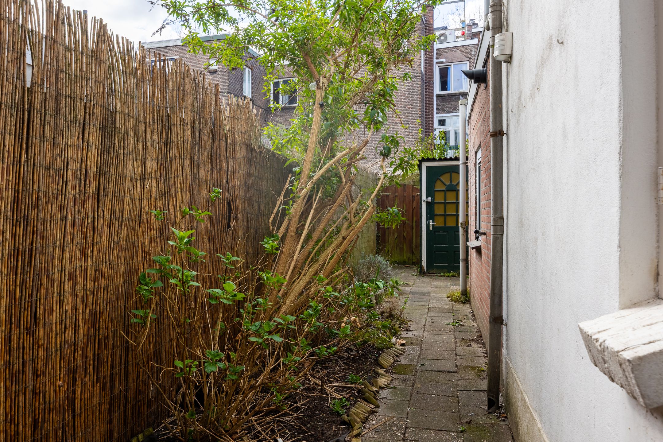 Photo 18 of Menadostraat 24