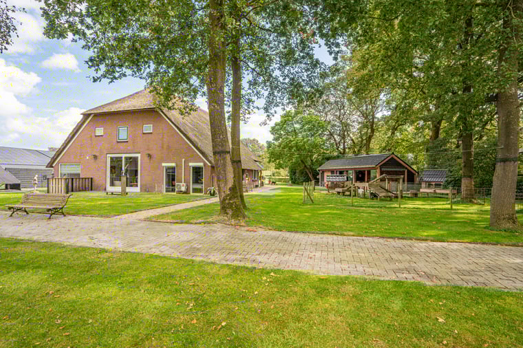 Schapendrift 6 main image