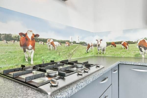 Foto 11 van 's-Gravendijkdreef 261