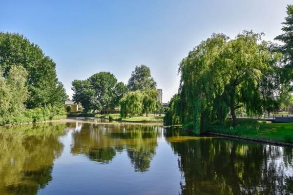 Foto 25 van 's-Gravendijkdreef 261