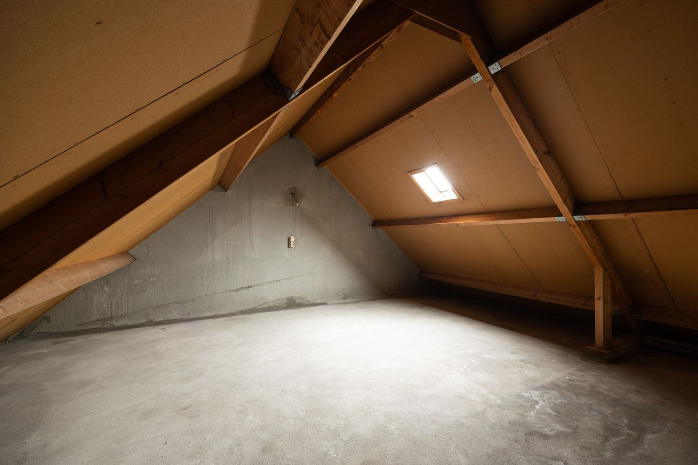 Foto 29 van Corpus 27