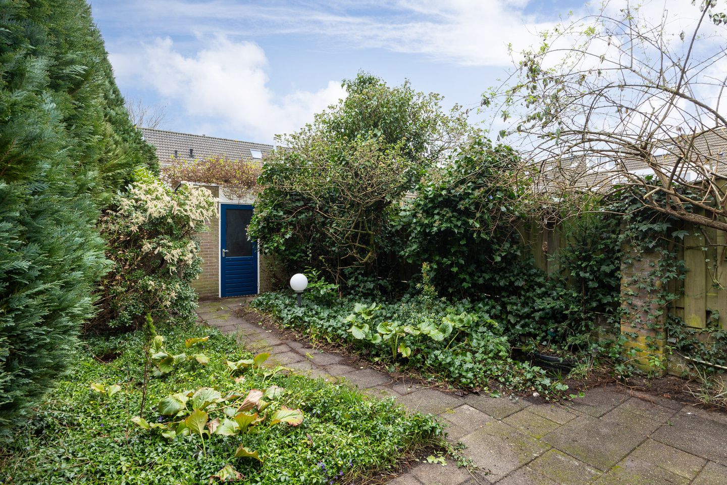 Foto 35 van Corpus 27