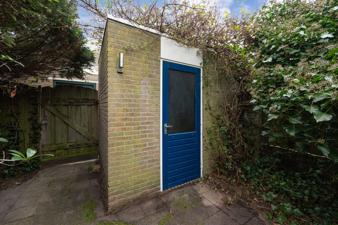 Foto 38 van Corpus 27