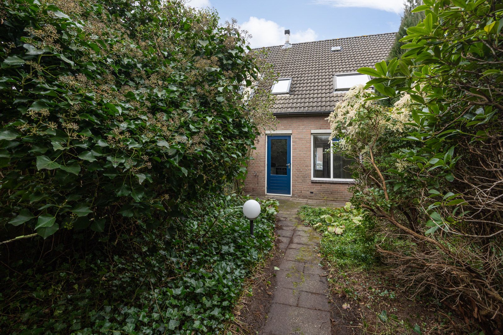 Foto 39 van Corpus 27