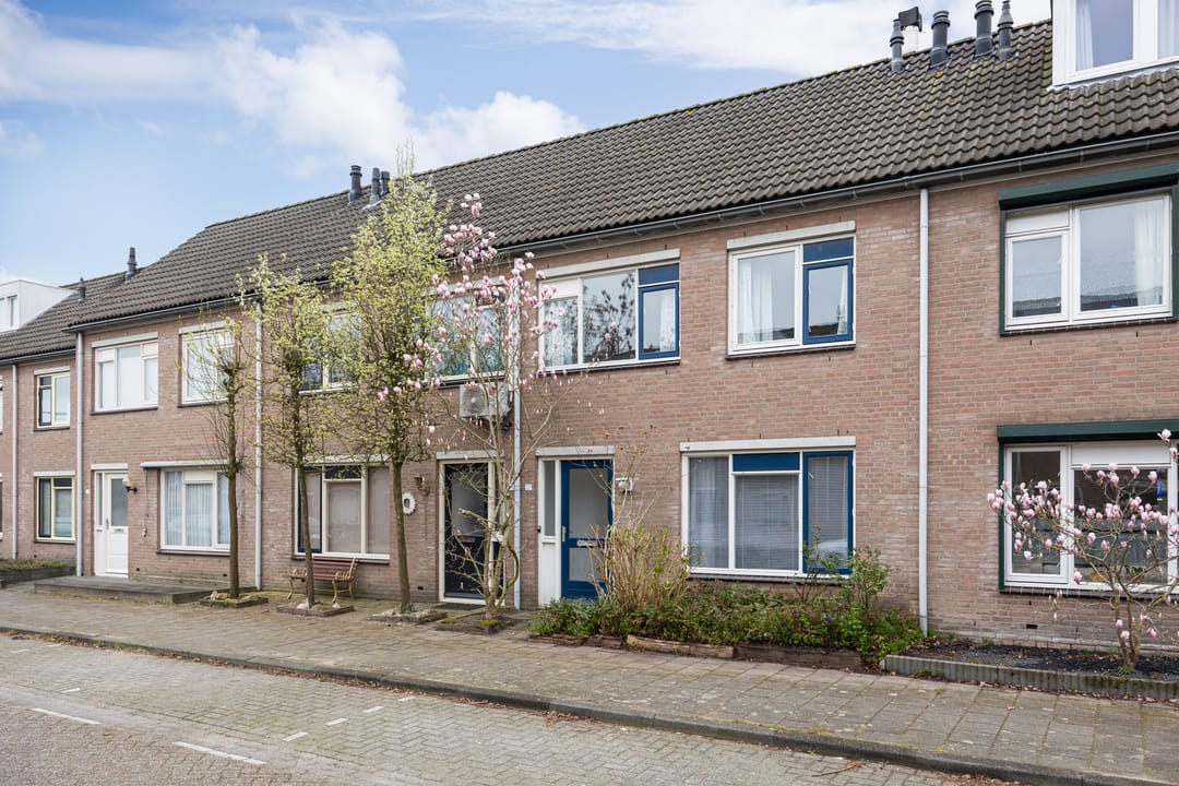 Foto 41 van Corpus 27