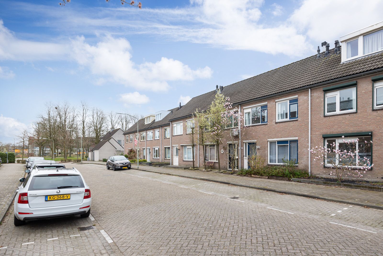 Foto 42 van Corpus 27