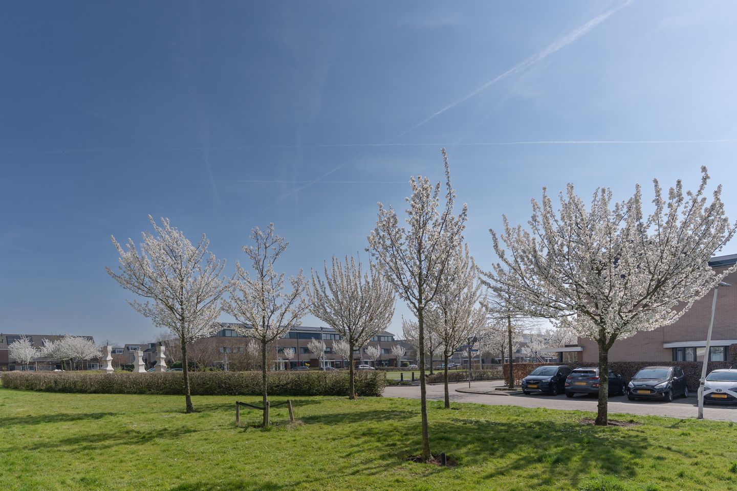 Foto 40 van Serenadelaan 111