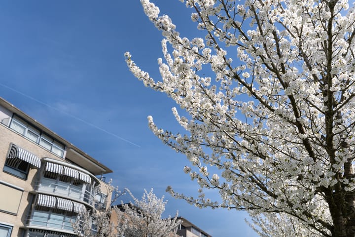 Foto 42 van Serenadelaan 111