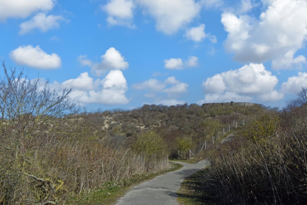 Photo 62 of Meer en Boslaan 109