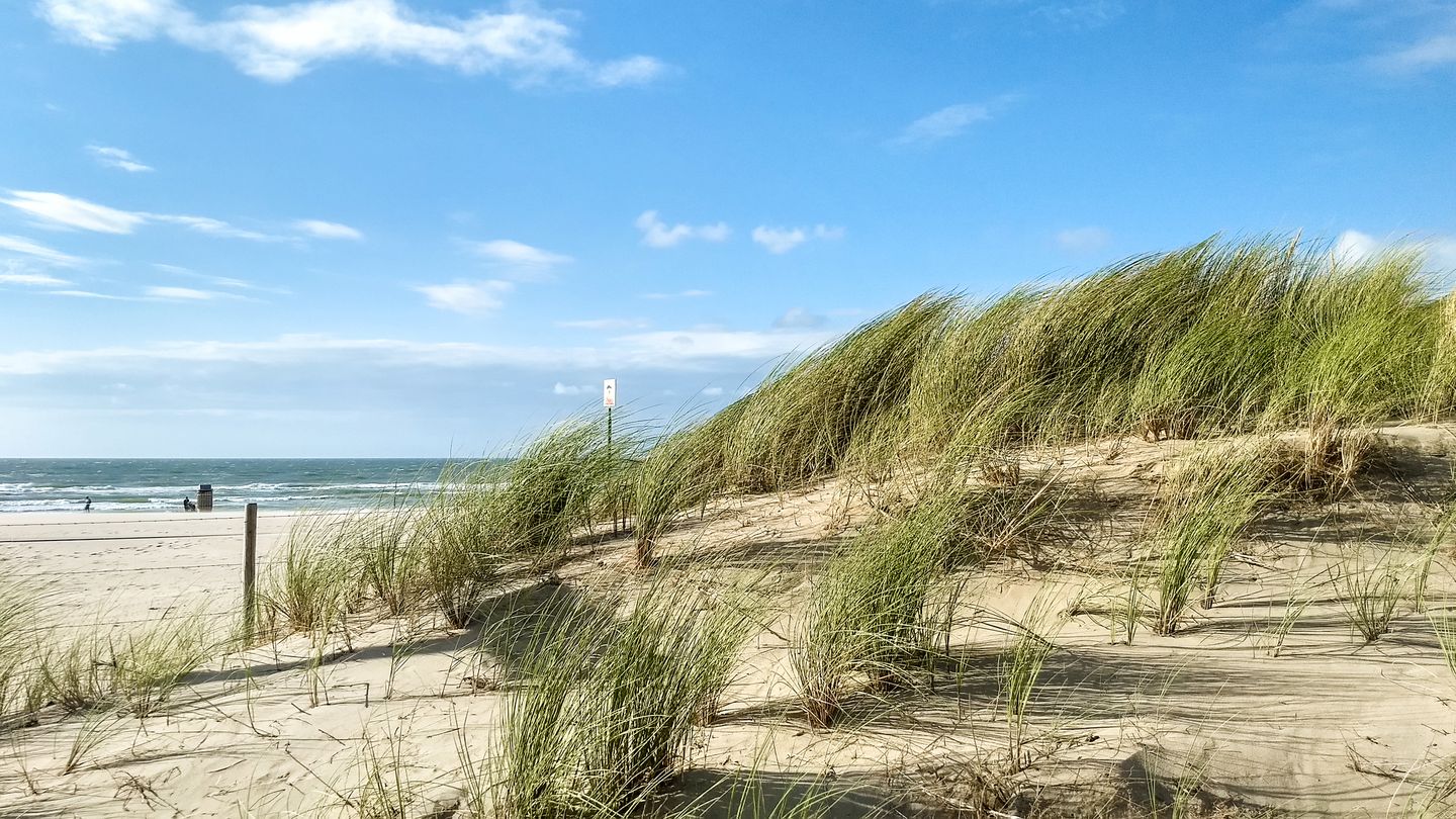 Photo 65 of Meer en Boslaan 109