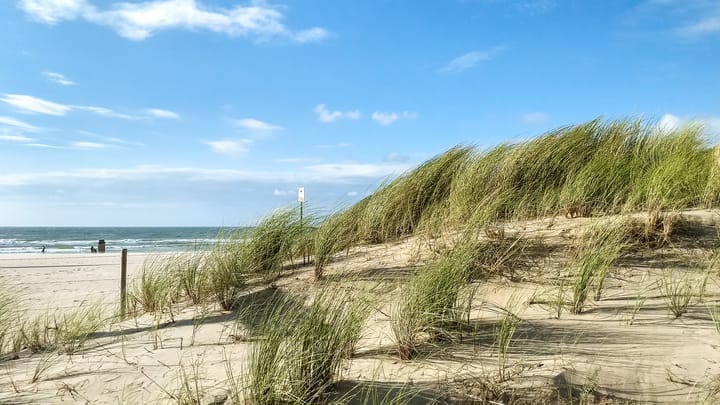 Photo 65 of Meer en Boslaan 109