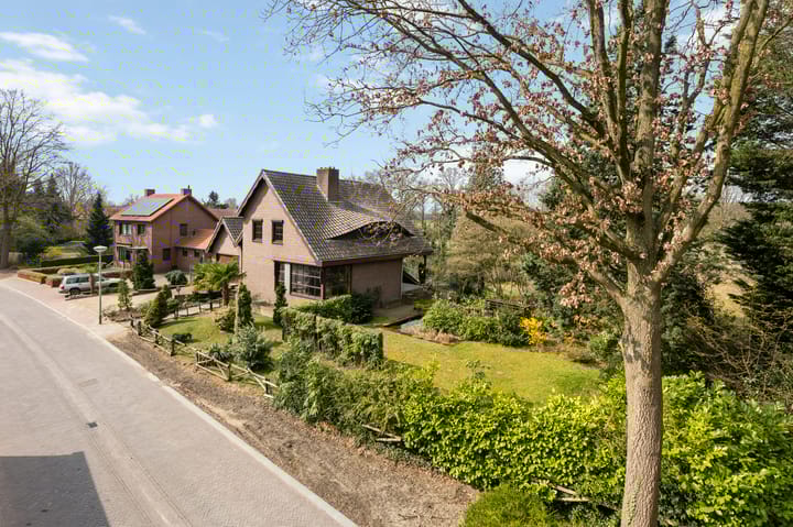 Photo 6 of Wolfsberg 14-A