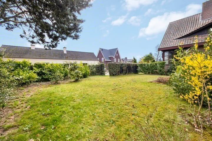 Photo 49 of Wolfsberg 14-A