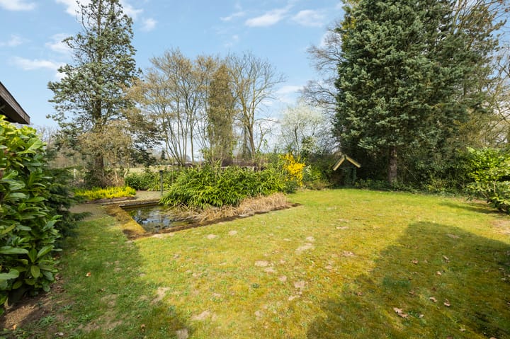 Photo 50 of Wolfsberg 14-A