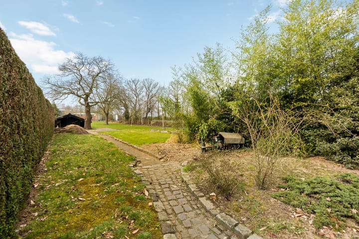 Photo 52 of Wolfsberg 14-A