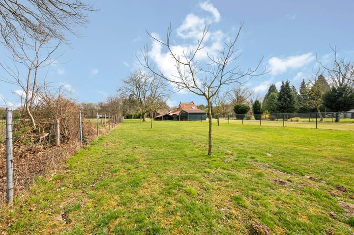 Photo 53 of Wolfsberg 14-A