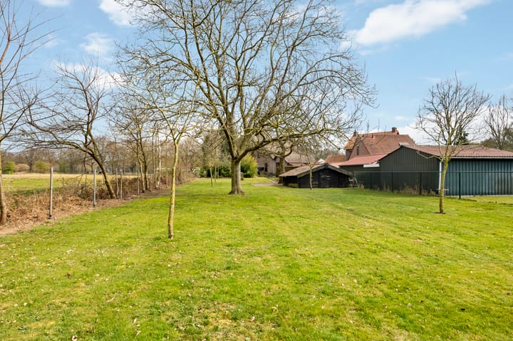 Photo 55 of Wolfsberg 14-A